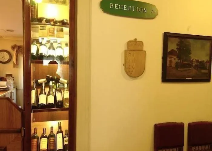 比德迈霍夫酒店 3* 谢尔丁